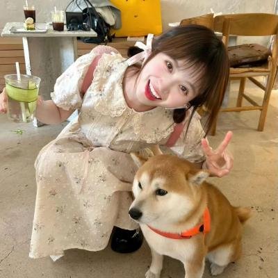 歌声是千层派